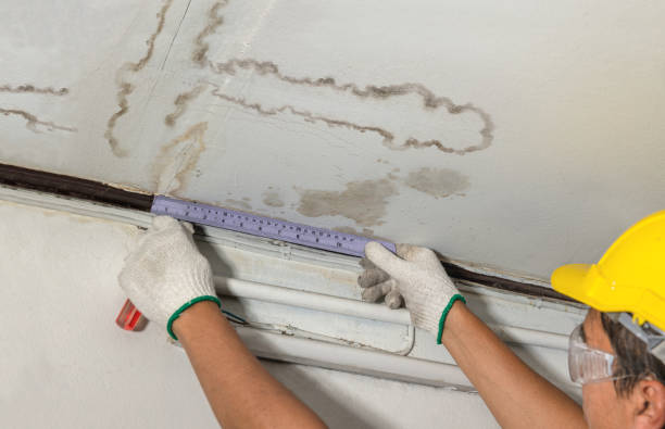 Reliable Mold Remediation contractor in Raeford, NC by Water Damage Irwin